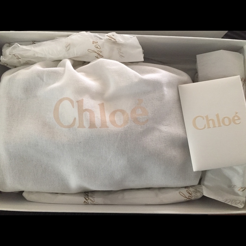(SOLD) Chloé Small Faye Shoulder Bag, Motty Grey - Picture 12 of 14